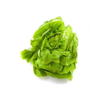 Lettuce Boston