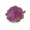 Cauliflower Violet