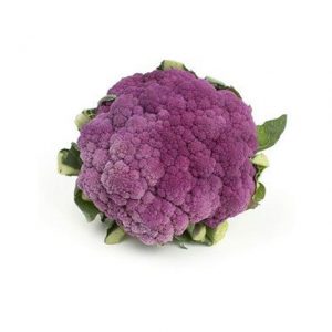 Cauliflower Violet