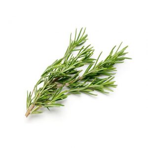 Herbs Rosemary 10x100g