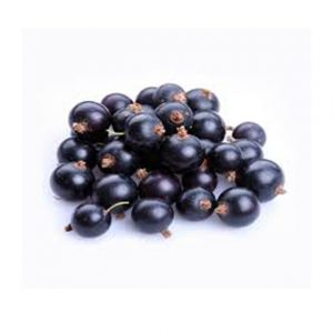 Black Currant 10x150g
