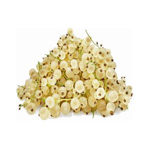 White Currant