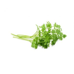 Herbs Chervil 10x100g