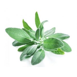 Herbs Sage 10x100g Flow Pack