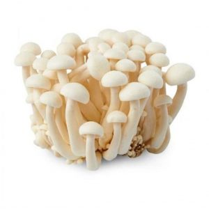 Mushroom Shimeji (White) 10x150g