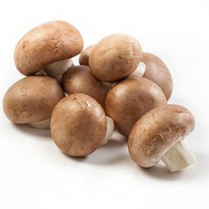 Mushroom Brown / Chestnut 12x250g