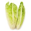 Lettuce Romain 10 Heads Lucas- 5.0kg