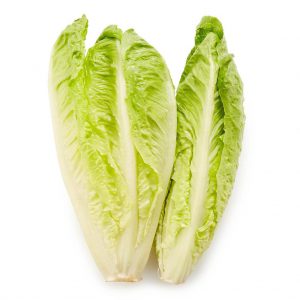 Lettuce Romain 10 Heads Lucas- 5.0kg