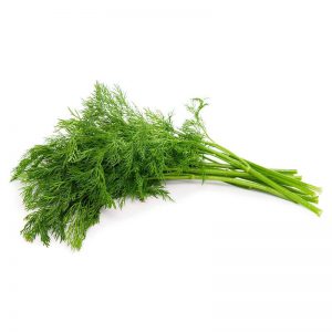 Herbs Dill 10x100g