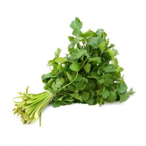 Herbs Coriander 10x100g