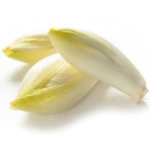 Chicory / Endive 10x500