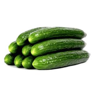 Cucumber (English)35+ Sealed X 12
