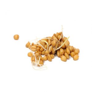 Wheat Sprout 8x200g