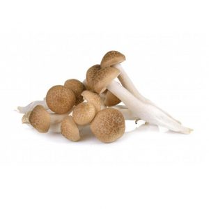 Mushroom Shimeji (Brown) 20x150g