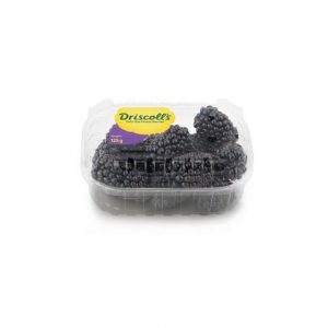 Black Berries 8x125g Driscoll's