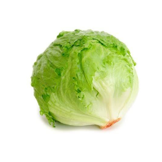 Lettuce Iceberg