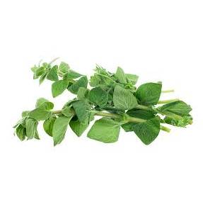 Herbs Oregano 10x100g