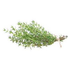 Herbs Thyme 10x100g