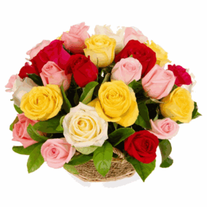 Rose Flower Mix x8