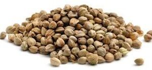 Hemp Seeds 20kg
