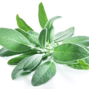 Herbs Sage 10x100g Flow Pack