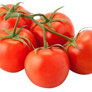 Tomatoes On The Vine - Large