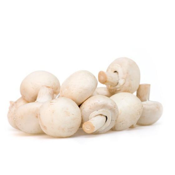 Mushroom Fine 12x250g