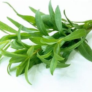 Herbs Tarragon 10*100g