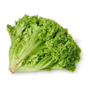 Lettuce Lollo Bionda 12 Heads - Kings - 4.2kg