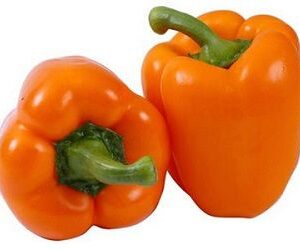 Capsicum Orange