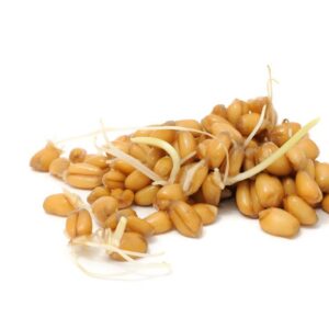 Wheat Sprout 8x200g