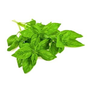 Herbs Basil 10x100g