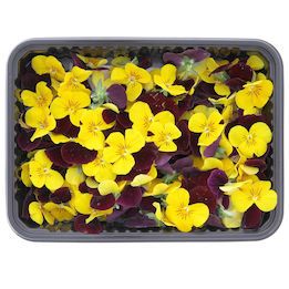 Cornabria Blossom 2x50pcs
