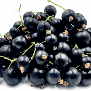 Black Currant 10x150g