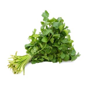 Herbs Coriander 10x100g