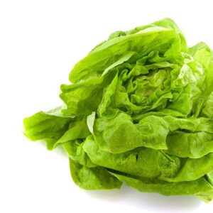 Lettuce Boston