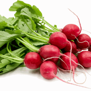 Radish Red 20x125g