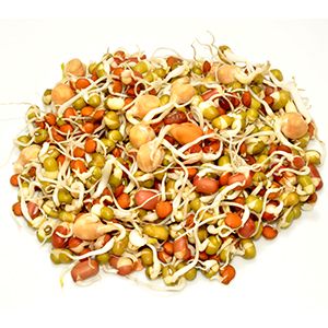 Sprout Mixture 8x200g