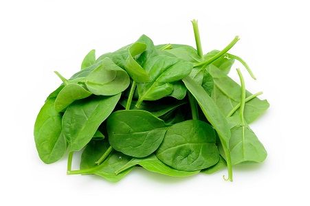 Baby Leaves Spinach 9x125g