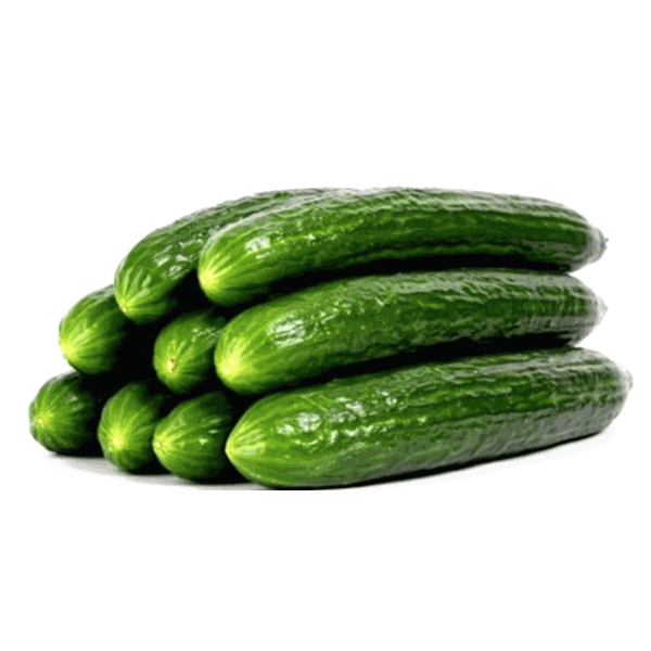Cucumber (English) Sealed X 12