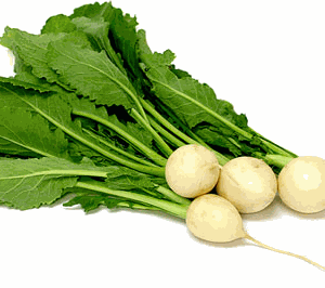 Baby Leaves Turnip 6x200g