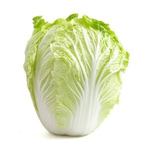 Cabbage Chinese 8.6kg