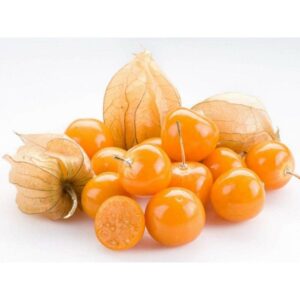 Physalis 12x125g