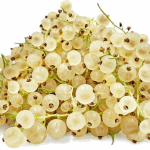 White Currant
