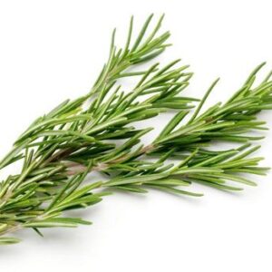 Herbs Rosemary 10x100g