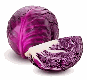 Cabbage Red