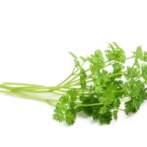 Herbs Chervil 10x100g