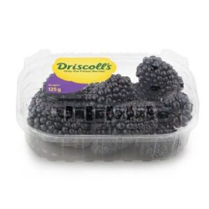 Black Berries 8x125g Driscoll's